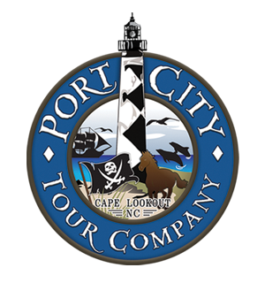 Things To Do Port City Tours
